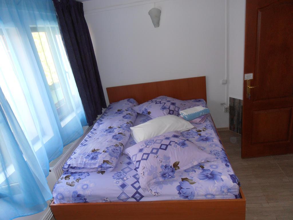 Pensiunea Sans Rival Iasi Rom bilde